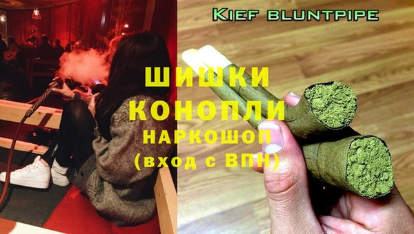 МДПВ Нефтегорск