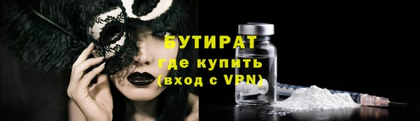 СК Новодвинск
