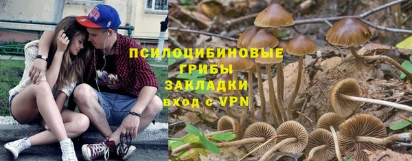 твердый Нея
