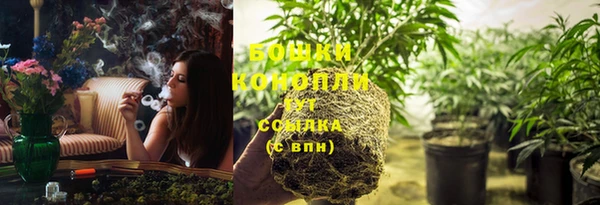 МДПВ Нефтегорск
