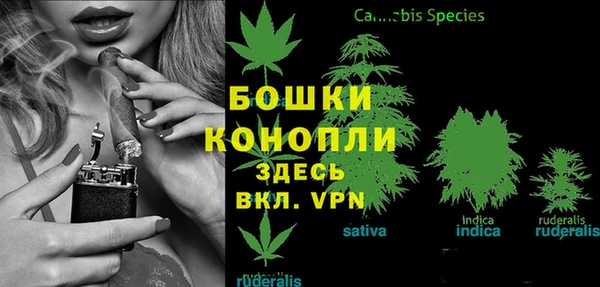 МДПВ Нефтегорск