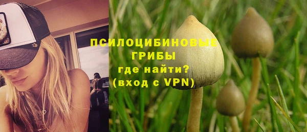 СК Новодвинск