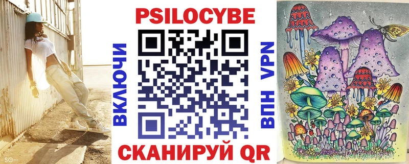 Галлюциногенные грибы Psilocybine cubensis  Холмск 