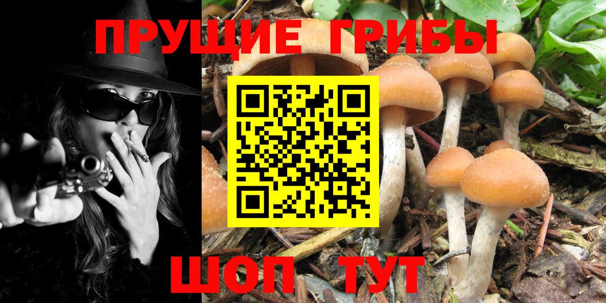 Галлюциногенные грибы MAGIC MUSHROOMS Холмск