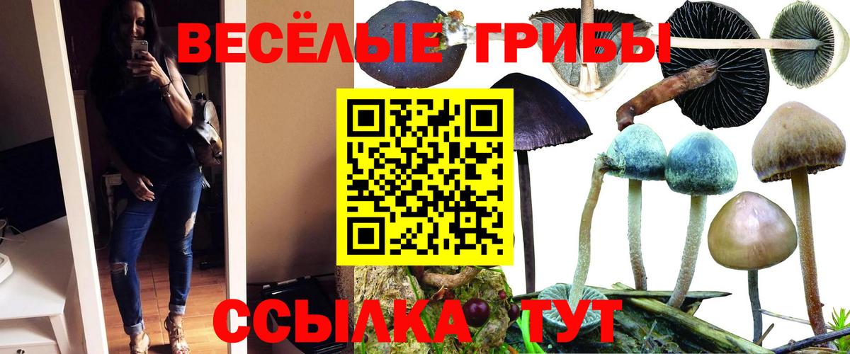 Холмск  Галлюциногенные грибы Cubensis  Псилоцибиновые грибы GOLDEN TEACHER  Вход с VPN 